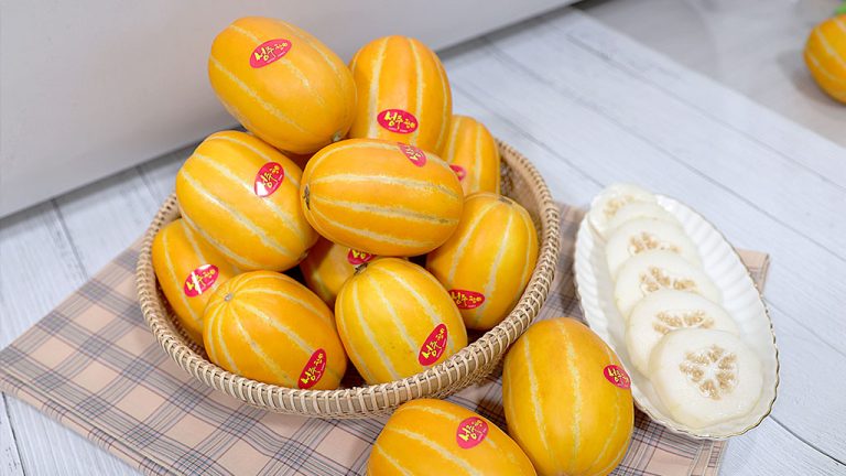 성주참외 고르는 법