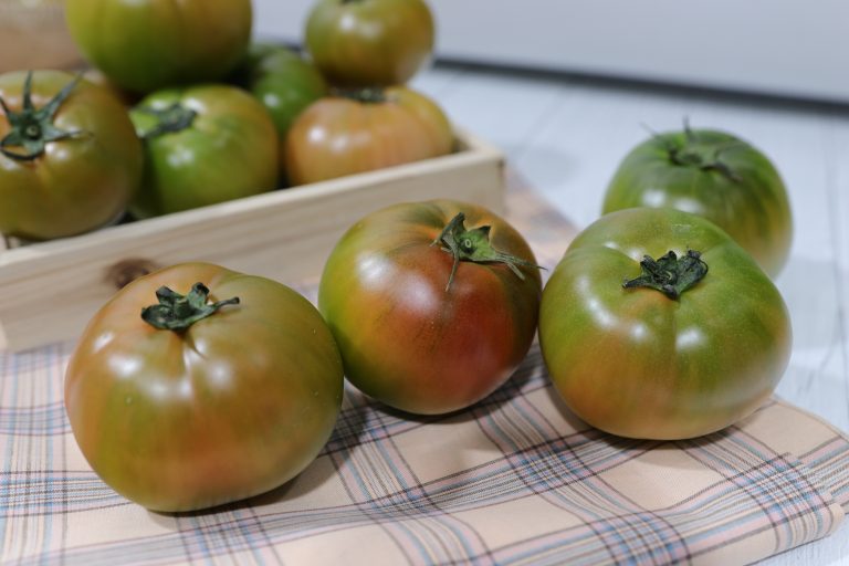 대저토마토는 어떻게 판매 할가요?